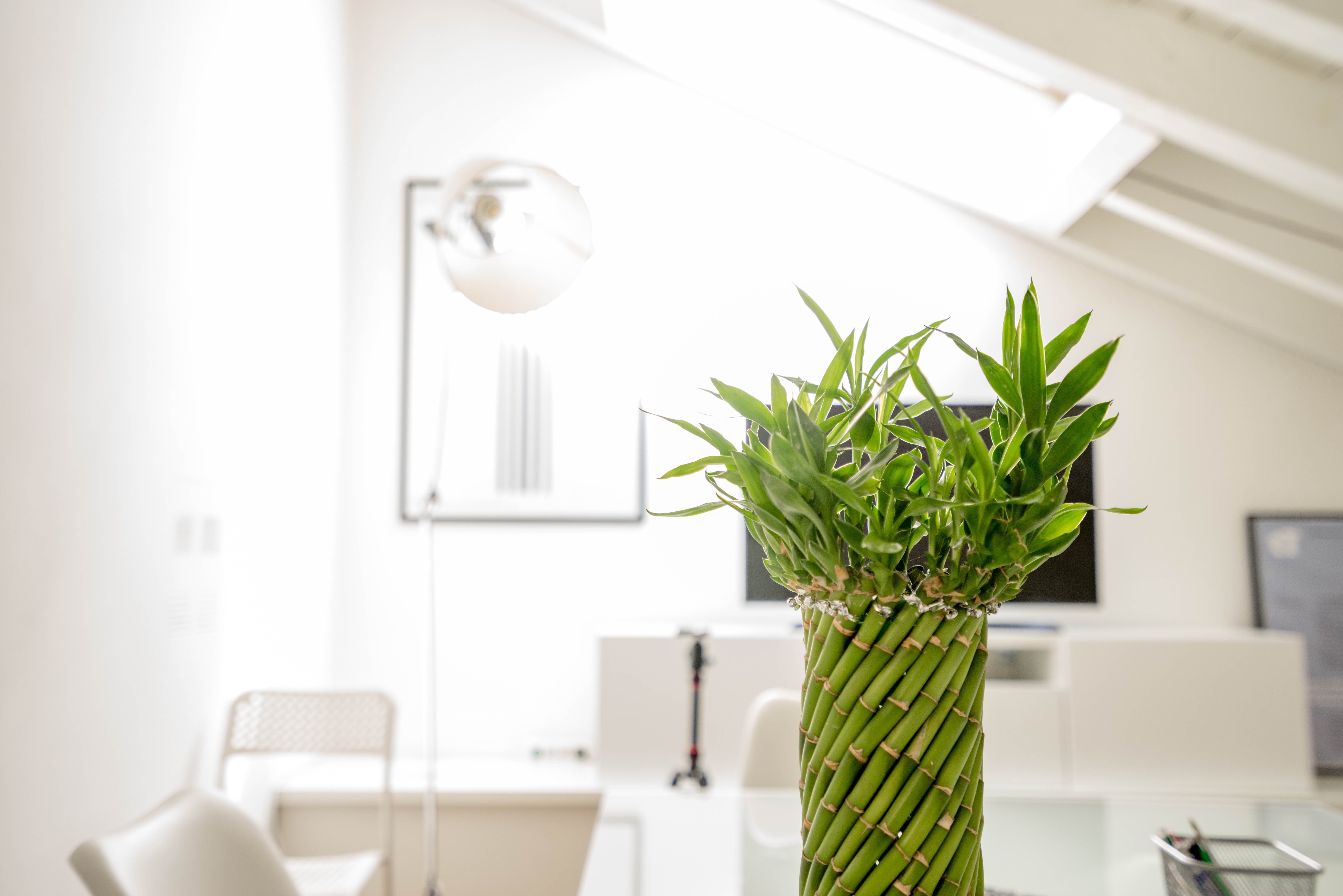 Will I Succeed in Transitioning to Private Practice? The Move to Independent Medical Practice Just Got Easier